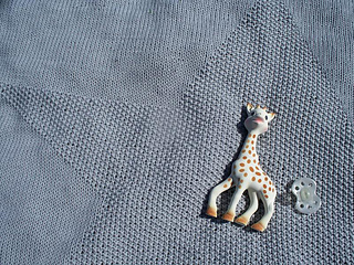 Photo_3_small2
