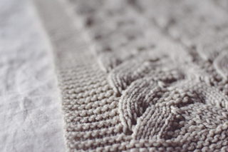 Envol4_small2