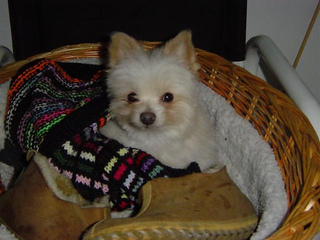 Tribbysblanket_small2