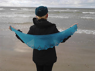 Img_20131113_123827_0_small2