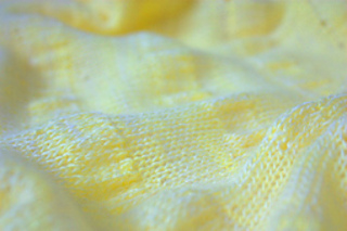 Citron3_small2