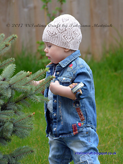 Dsc_0131_cr_small2