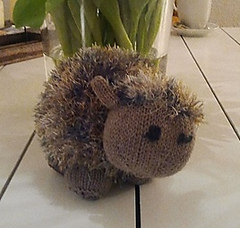 Maurice_1_small