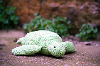 Img_5049_small2