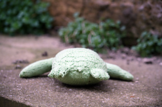 Img_5057_small2