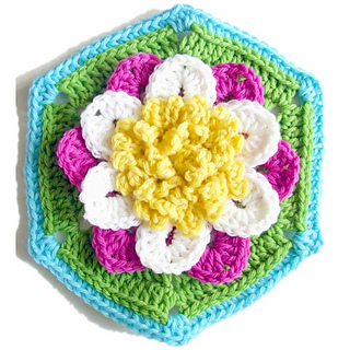 Water_lily_hexagon_1_small2