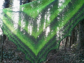 Foto0885_small2