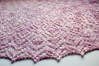 Closeup1_small2