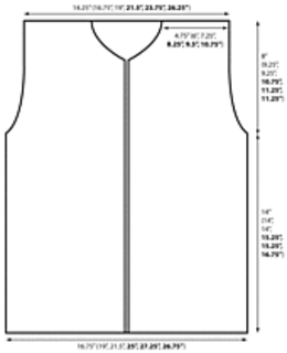 Anika_schematic_v2_small2