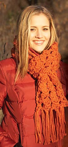 Bernat_softeechunky002_medium
