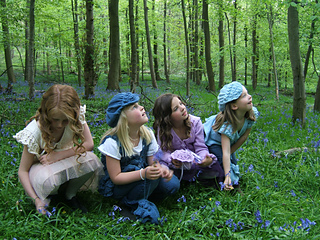 Bluebell_foursome_shot_crouching_down_small2