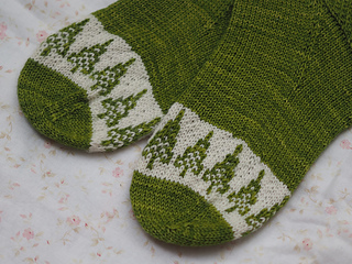 Pc240045_small2