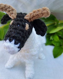Sheep_small2