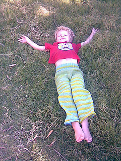 Efielonglegs1_small2