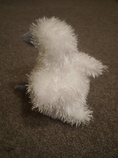 P8110035_small2