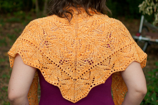 Damask-11_small2