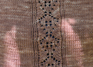 Lace_detail_crop_small2