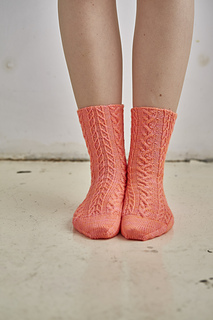 Lo_res_coopey_2392_for_sock_small2