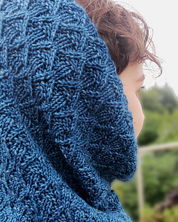 Nicole_cowl_back_small2