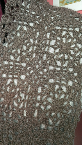 Imag1310_medium