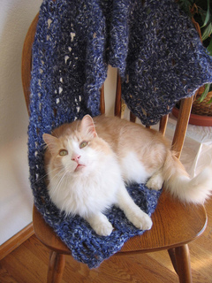 Spring_snow_shawl_w_andrew_2_small2