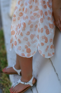 Img_5036_small2