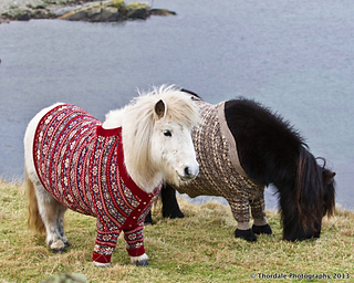 Shetlands_and_sweaters_small2