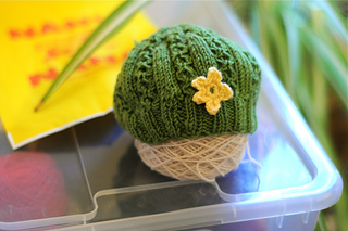 Hatsdec1_small2