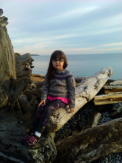 Img_20121127_150243_small2