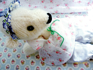Polarbear3_small2
