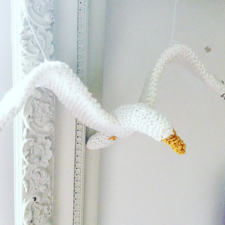 Gull2_small2