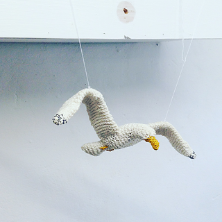 Gull7_small2
