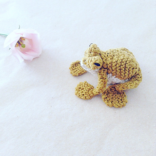 Frog8_small2