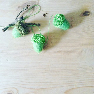 Acorn7_small2