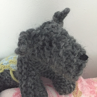 Dog13_small2