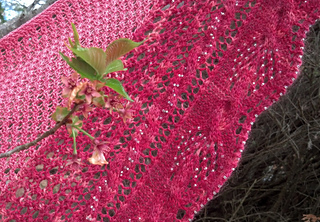 Close_pink_small2