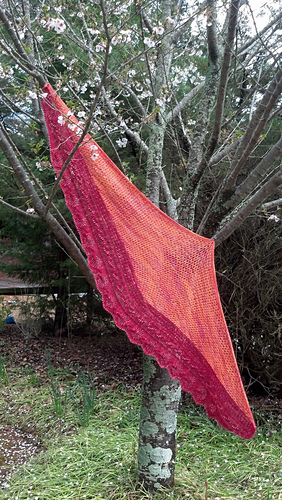 Full_orange_medium