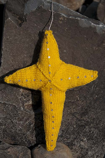Star_sep_2011_small2