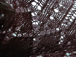 5342583562_8216b33631_z_small2
