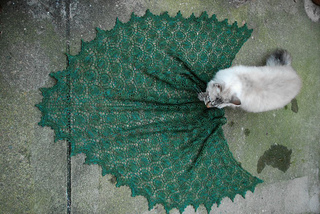 Dsc_0786_small2