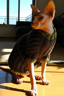 Dsc_2314_small2
