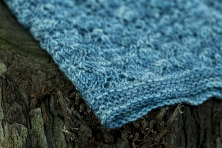 _dsc8758_small2
