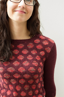 Dottie_close_small2