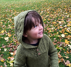 Robinhoodie2-sm_small