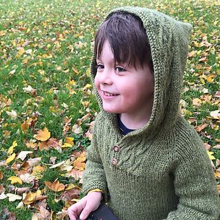 Robinhoodie3_sm_small2