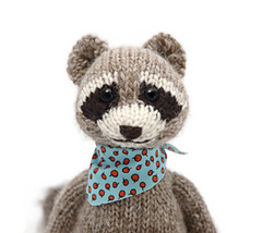 Raccoonportrait_small