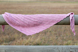 Img_8905_small2