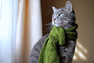 Knits_nov_09_007_small2