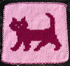 Cat__1__small