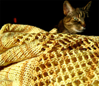 Lace_stripe_shawl_saffy_small2